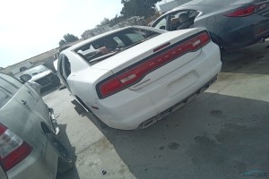 سيارة دودج تشارجر 2017